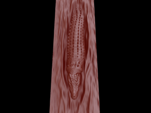 Relief 3D Print Model