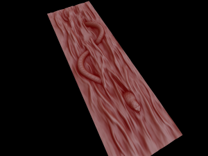 Relief Modèles 3D en vedette