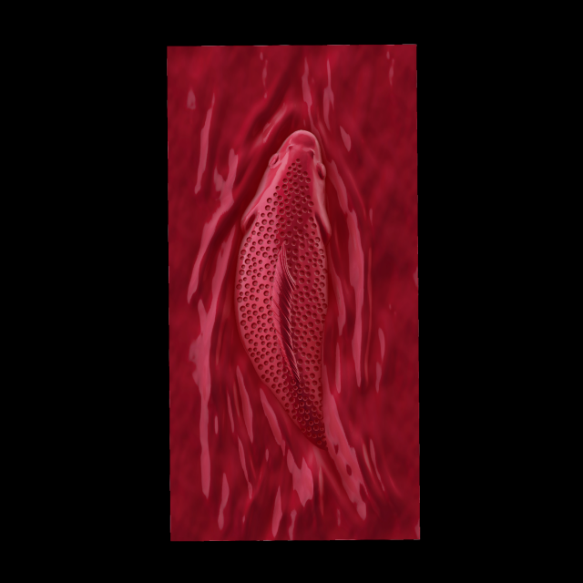 Relief Model Cetak 3D .c4d .max .obj .3ds .fbx .stl .blend 