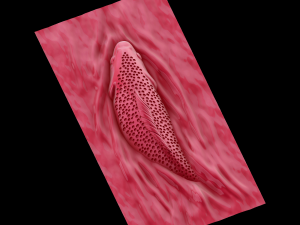 Relief Model Cetak 3D
