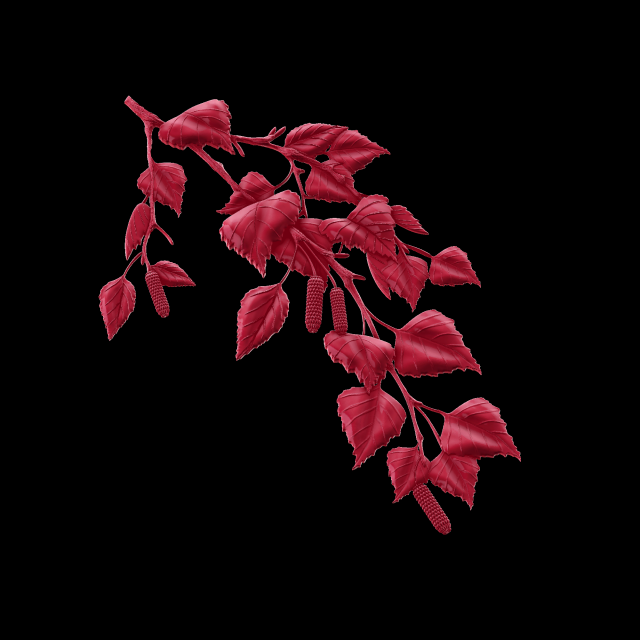 Relief Modèles 3D en vedette .c4d .max .obj .3ds .fbx .stl .blend 