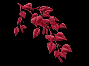 Relief Modelo de Impressão 3D