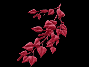 Relief Modèles 3D en vedette