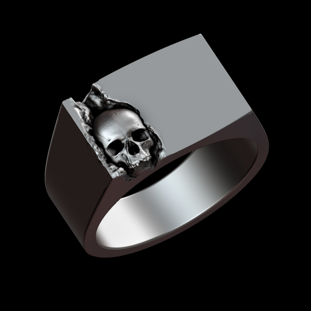 Relief 3D Print Model .c4d .max .obj .3ds .fbx .stl .blend 