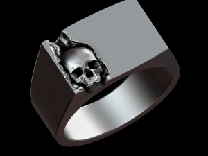 Relief 3D Print Model