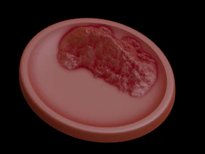 Relief Modèles 3D en vedette