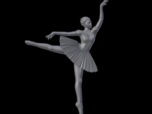 Relief 3D Print Model