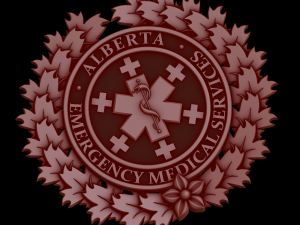 Relief 3D Model