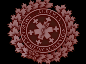 Relief 3D Model