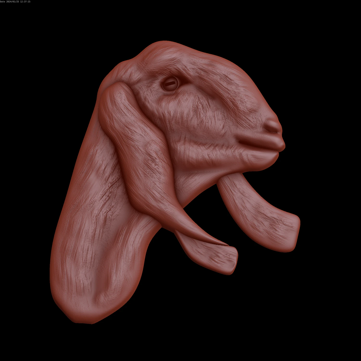 Relief 3D Model .c4d .max .obj .3ds .fbx .stl .blend