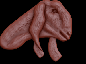 Relief 3D-Modell