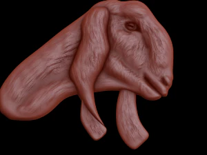 Relief 3D Model