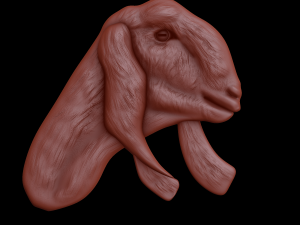 Relief 3D-Modell