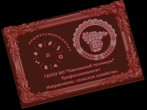 Relief 3D Модель