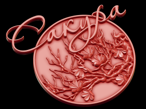 Relief Modèle 3D