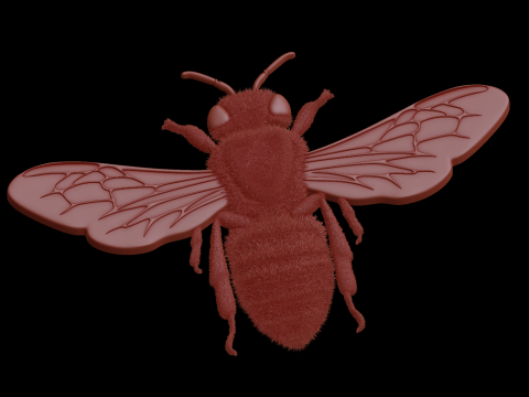 Relief 3Dモデル