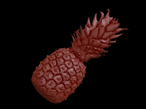 Relief 3D Model