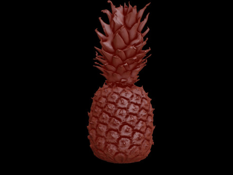 Relief Model 3D