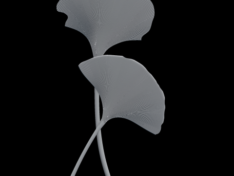 Relief Modèle 3D