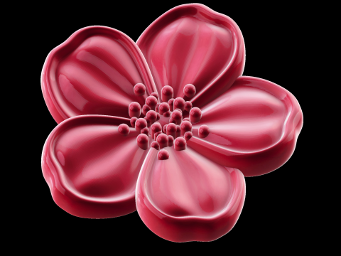 Relief Modello 3D
