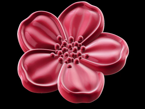 राहत 3D मॉडल