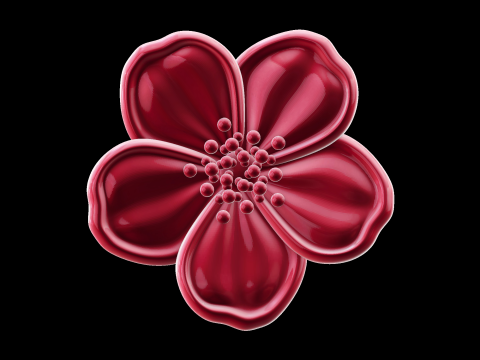 Relief Modello 3D