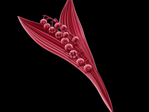 Relief Model 3D