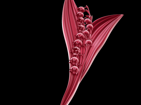 Relief Modelo 3D