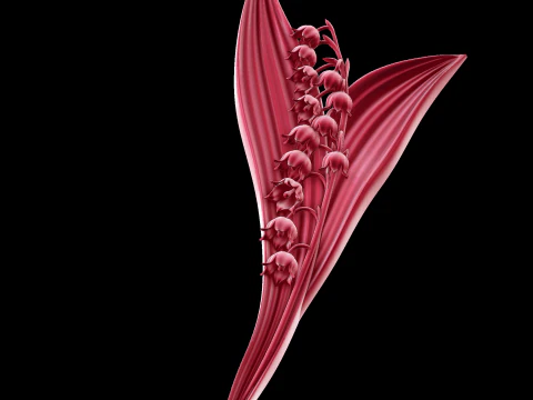Relief 3D Model