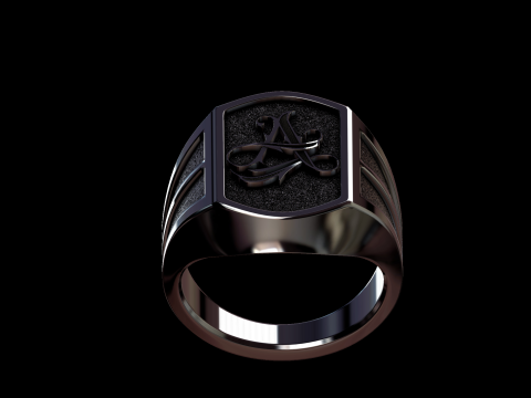 Relief Model 3D