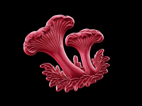 Relief 3D Model