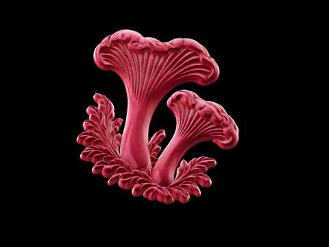 Relief 3D Model