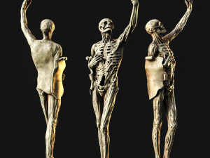 el esqueleto Modelo 3D