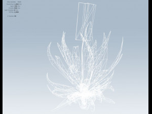 aloe vera 3D-Modell