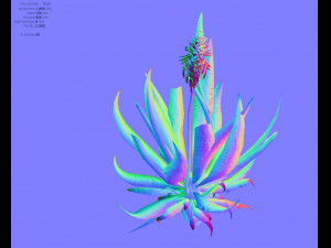 aloe vera 3D-Modell