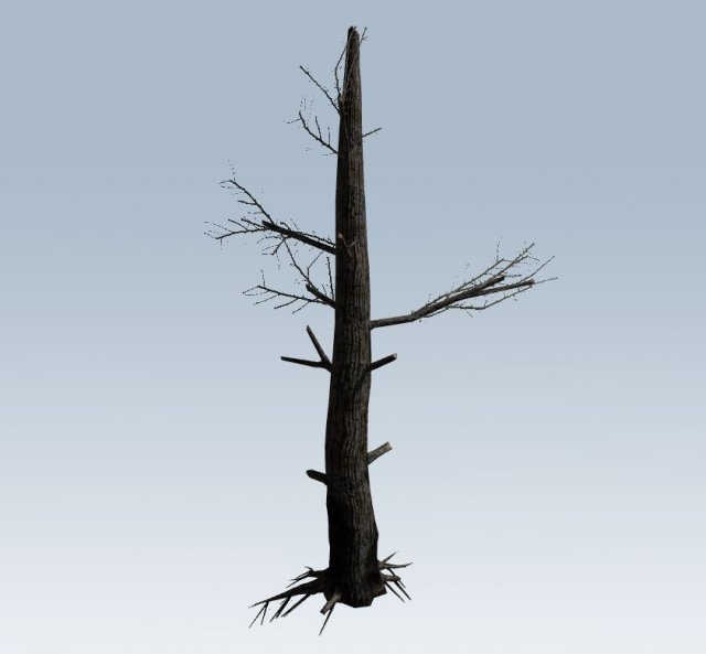 tree charred trunk Model 3D .c4d .max .obj .3ds .fbx .stl .blend 
