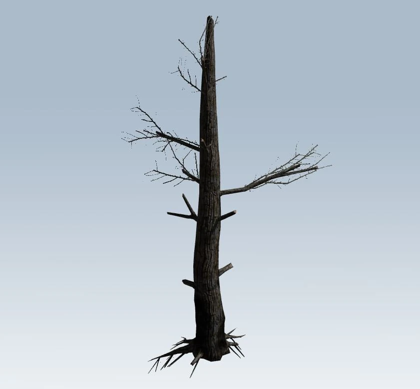 tree charred trunk 3D Model .c4d .max .obj .3ds .fbx .stl .blend 