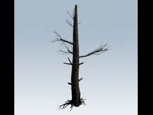 tree charred trunk 3D Model