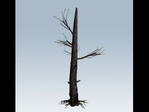 tree charred trunk Model 3D