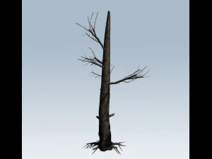 tree charred trunk 3D Model