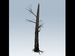 tree charred trunk Model 3D