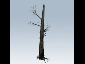 tree charred trunk 3D Model