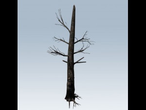 tree charred trunk Model 3D