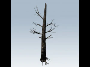 tree charred trunk 3D Model