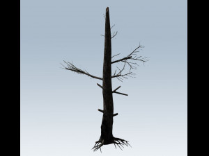 tree charred trunk Model 3D