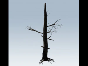 tree charred trunk 3D Model