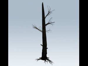 tree charred trunk Model 3D