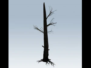 tree charred trunk 3D Model