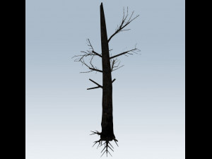 tree charred trunk Model 3D