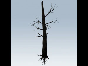 tree charred trunk 3D Model